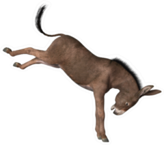Donkey Kicking Its Hind Legs Isolated On White Sticker