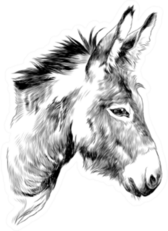 Donkey Sketch Sticker