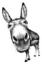 Donkey/Ass Front View With A Large Head Sticker