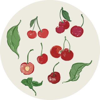 Doodle Cherries Sticker