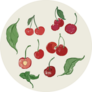 Doodle Cherries Sticker
