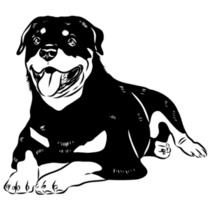 Doodle Drawn Rottweiler Sticker