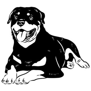 Doodle Drawn Rottweiler Sticker