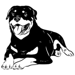 Doodle Drawn Rottweiler Sticker