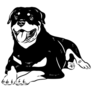 Doodle Drawn Rottweiler Sticker