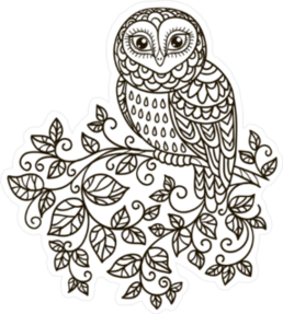 Doodle Owl Sticker