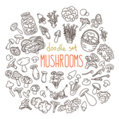 Doodle Set Of Mushrooms Lettering Sticker