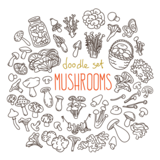 Doodle Set Of Mushrooms Lettering Sticker