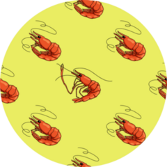 Doodle Shrimp Sea Food Bright Color Sticker