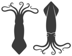 Double Squid Logo Sticker