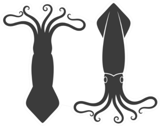 Double Squid Logo Sticker