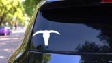 Down Pointing Bull Cow Horns Skull Sticker on a Rear Car Window (New) example