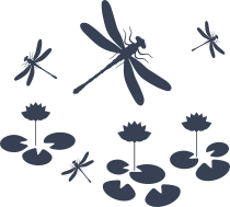 Dragonflies Flying Over Lily Pond Sticker