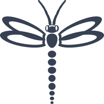 Dragonfly With Dotted Back Sticker