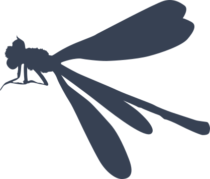 Dragonfly With Little Legs Sticker