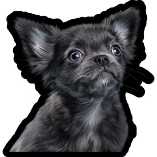 Drawing Black Chihuahua Sticker