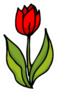 Drawing By Hand Red Tulip Sticker