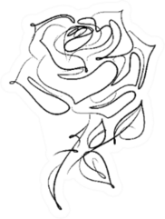 Drawing Floral Flower Sketch Rose Sticker
