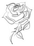 Drawing Floral Flower Sketch Rose Sticker