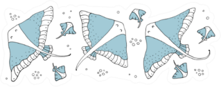 Drawing - Funny Stingrays Sticker