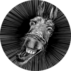 Drawing Of A Crazy Donkey Sticker