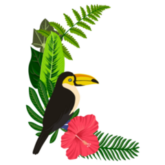 Drawing Of Toucan Green Palm Leaves Sticker