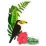 Drawing Of Toucan Green Palm Leaves Sticker