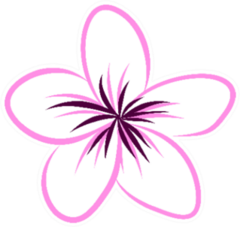Drawing Tropical Plumeria Flower Sticker