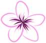 Drawing Tropical Plumeria Flower Sticker