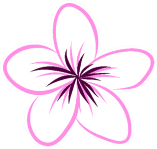 Drawing Tropical Plumeria Flower Sticker