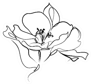 Drawing With Floral Pattern Lily Sticker