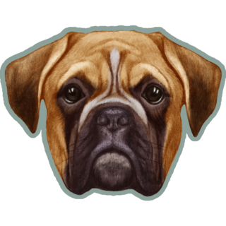 Drawn Boxer On Blue Sticker