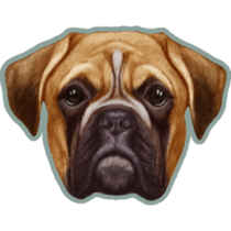 Drawn Boxer On Blue Sticker