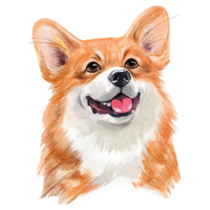 Drawn Corgi Cake Sticker