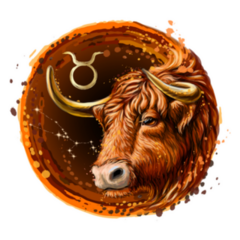 Drawn Image Of The Zodiac Taurus Watercolor Sticker