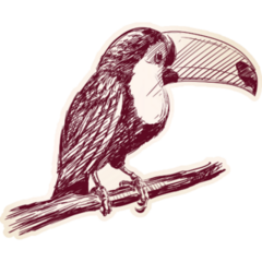 Drawn Toucan Sticker
