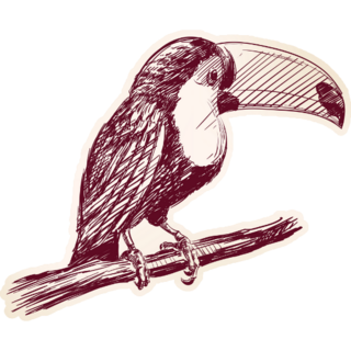 Drawn Toucan Sticker