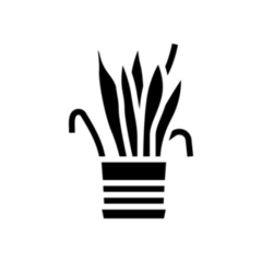 Drying House Plant Transfer Sticker