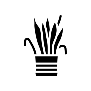 Drying House Plant Transfer Sticker