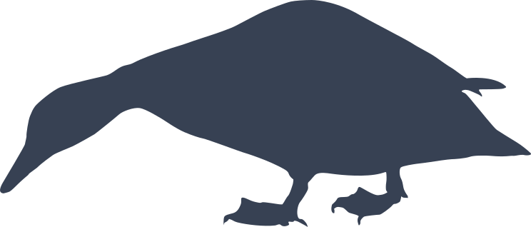 Duck Bird Eating Sticker