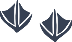 Duck Bird Footprints Sticker