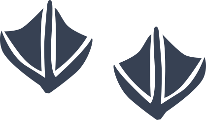 Duck Bird Footprints Sticker