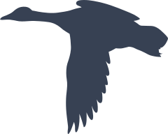 Duck In Flight Sticker