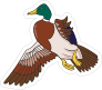 Duck Mascot Sticker