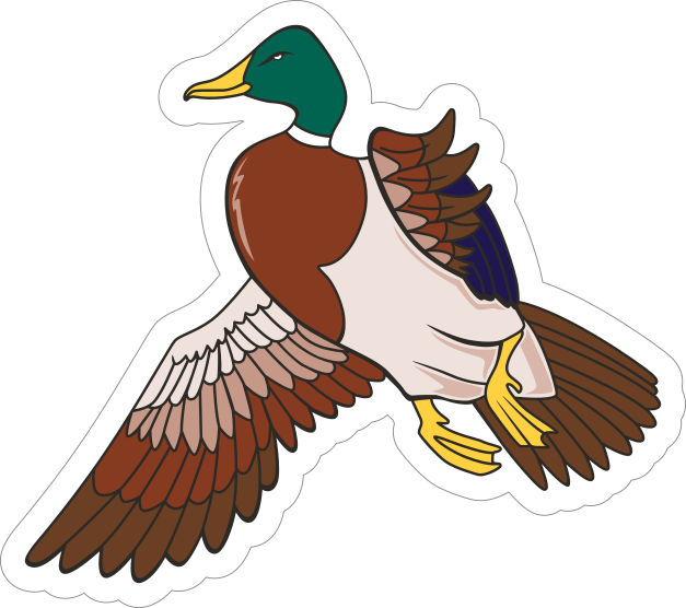 Duck Mascot Sticker Shipped Fast & Free!