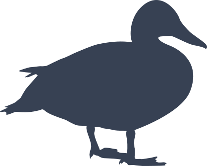 Duck Resting Sticker