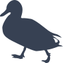 Duck Walking Sticker