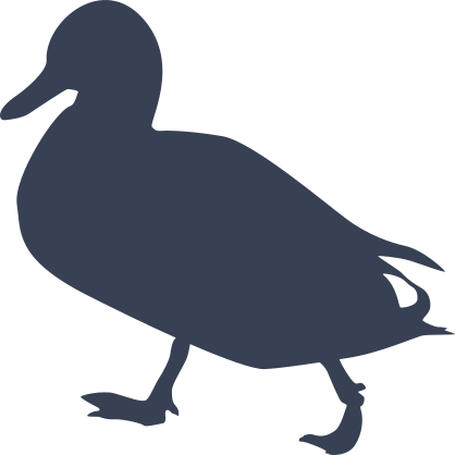 Duck Walking Sticker