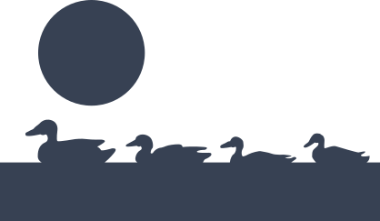 Ducks Birds Swimming Sticker