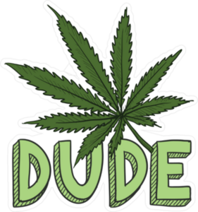 Dude Marijuana Leaf Doodle Sticker